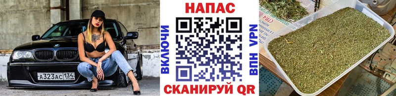 Канабис марихуана  где найти   Николаевск-на-Амуре 